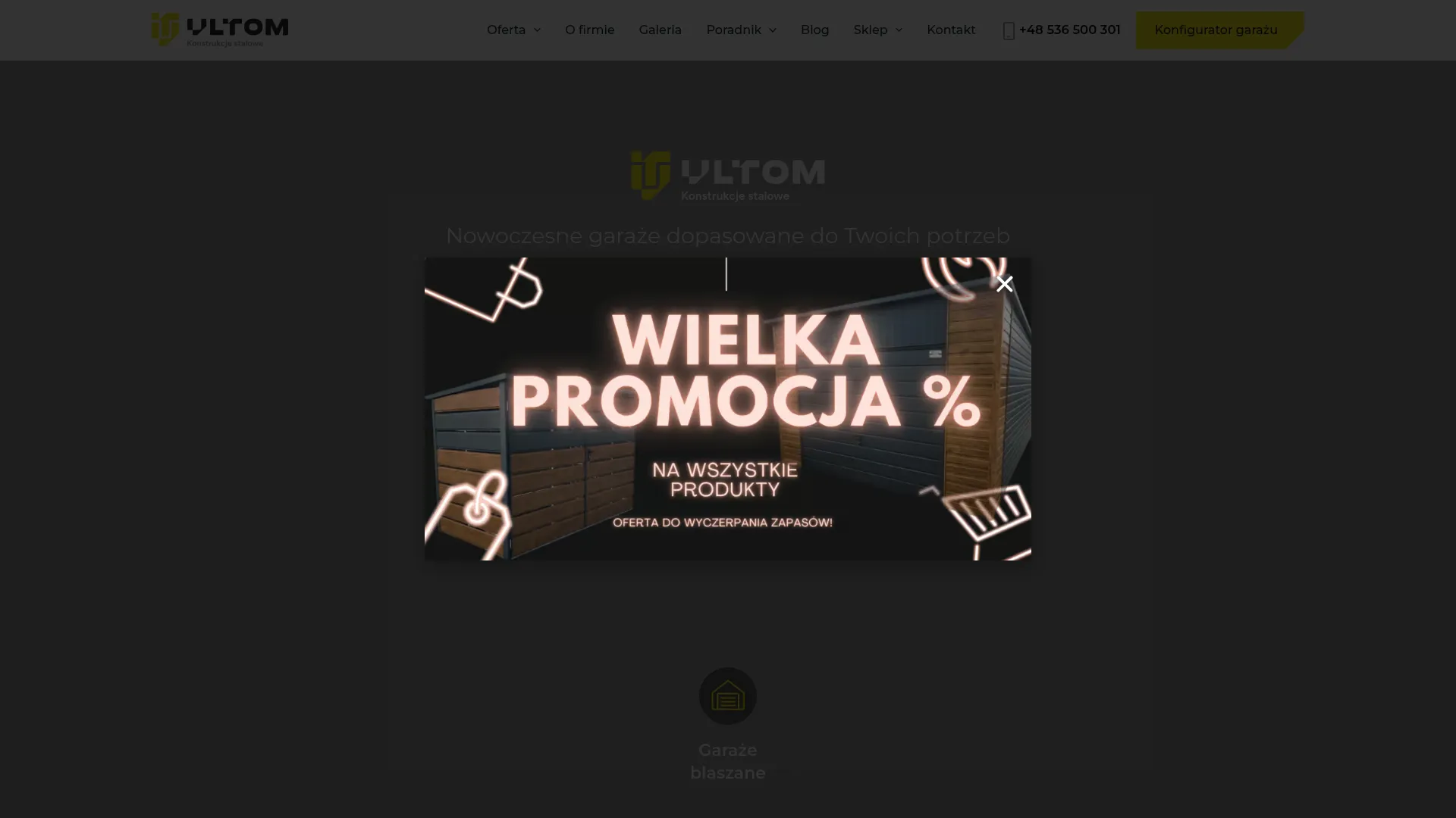 Zrzut ekranu strony