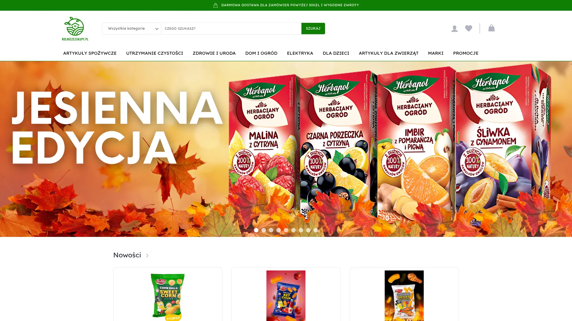 Zrzut ekranu strony