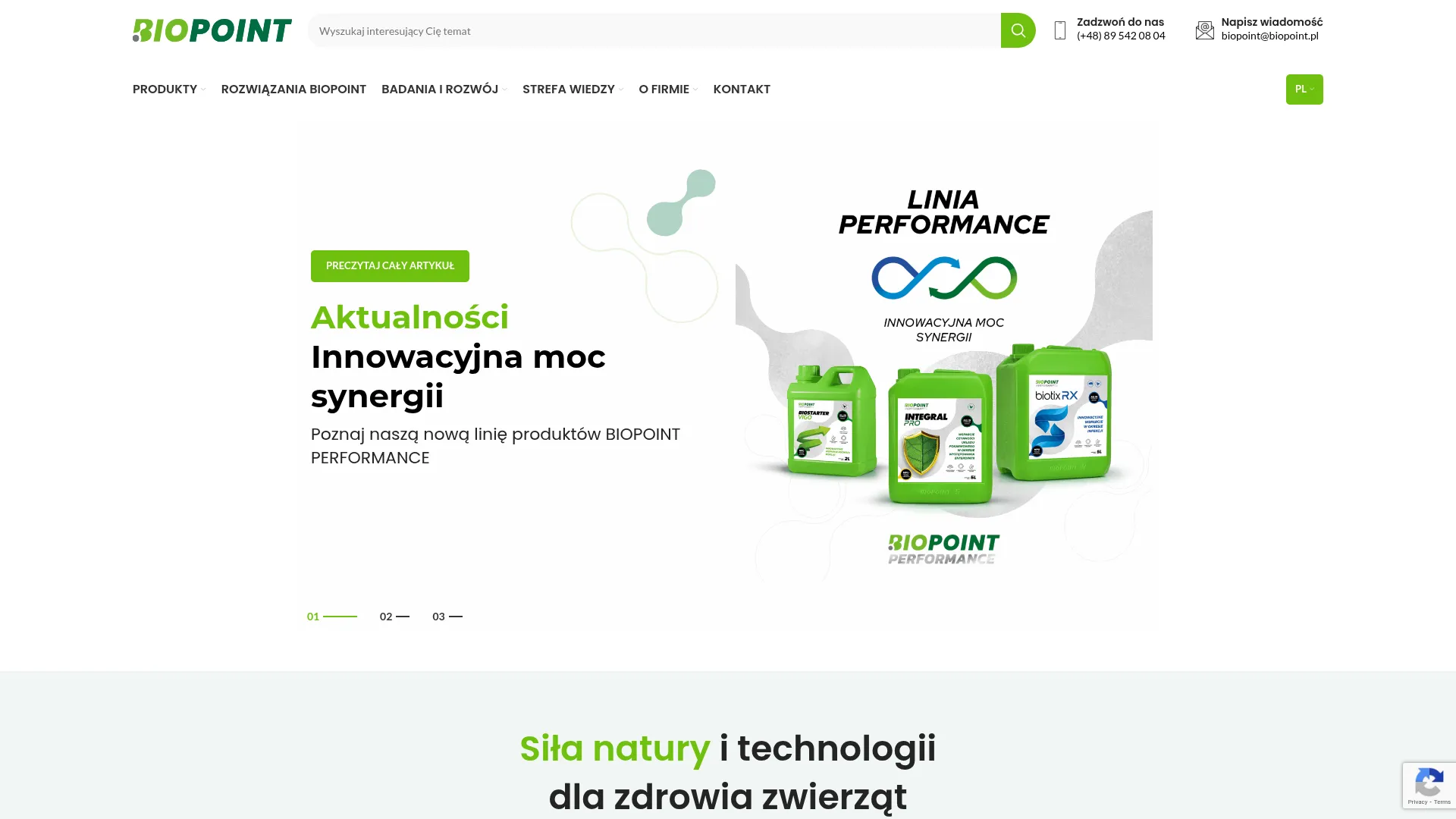 Zrzut ekranu strony